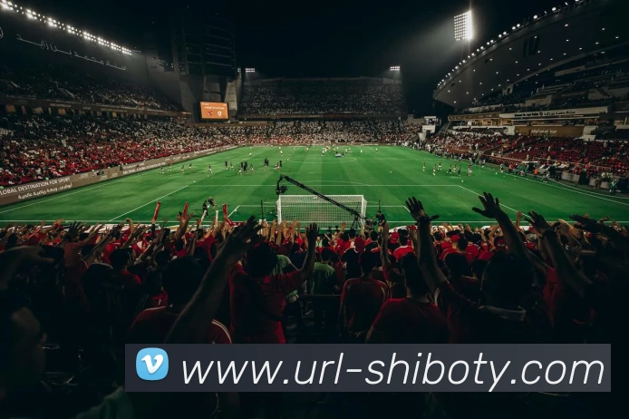 App Interface Preview