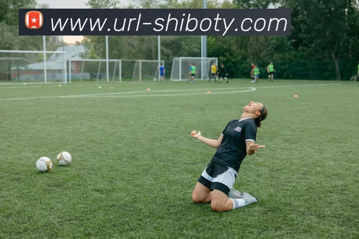 世博体育APP 封面图